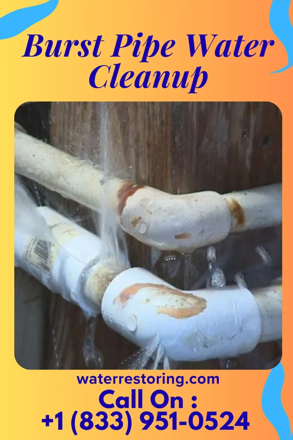 Burst Pipe Water Cleanup in Broad Top City, PA