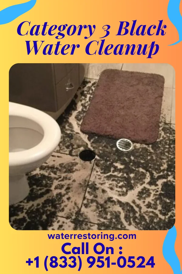 Category 3 Black Water Cleanup in Broad Top City, PA