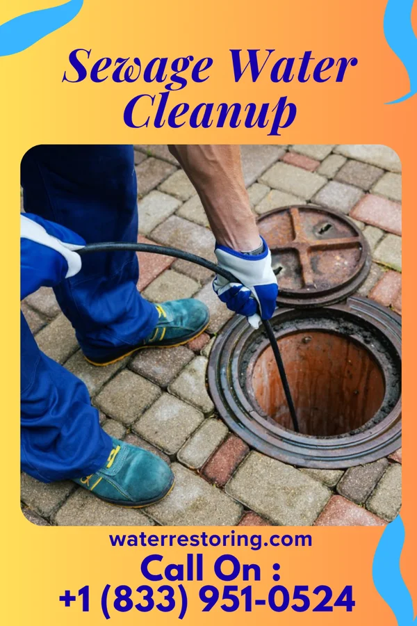 Sewage Water Cleanup in Broad Top City, PA