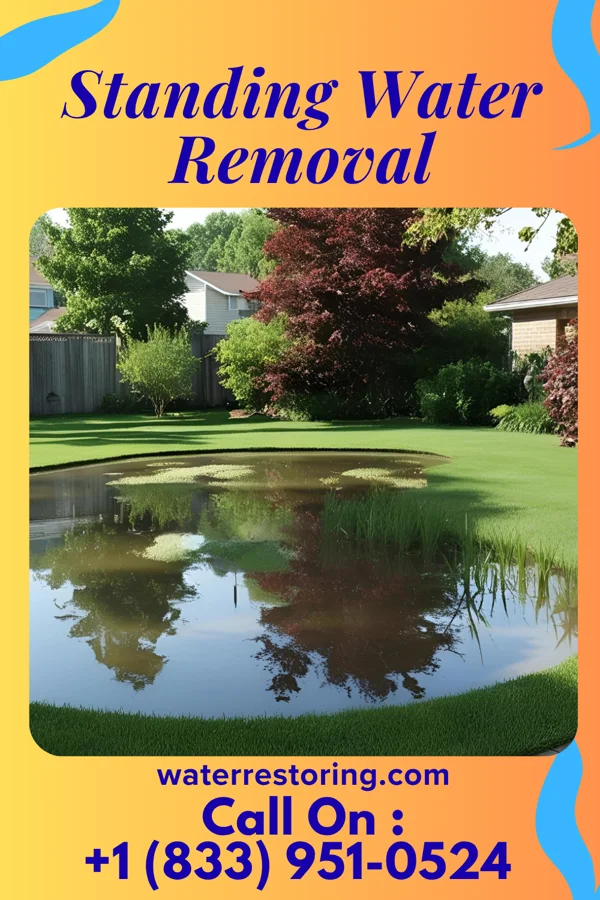 Standing Water Removal in Broad Top City, PA